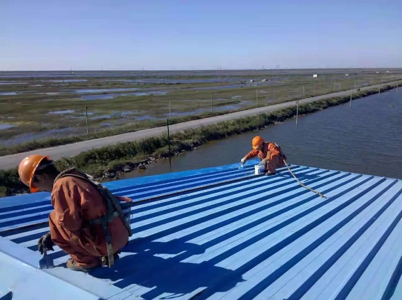 松柏镇彩钢瓦屋面防腐翻新